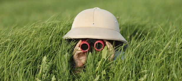 safari-hidden