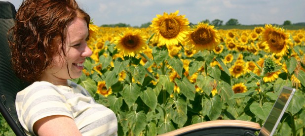 Working by the Sunflowers